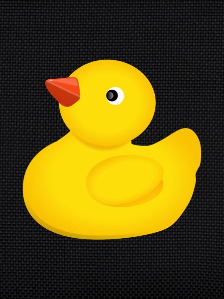 Canards de bain