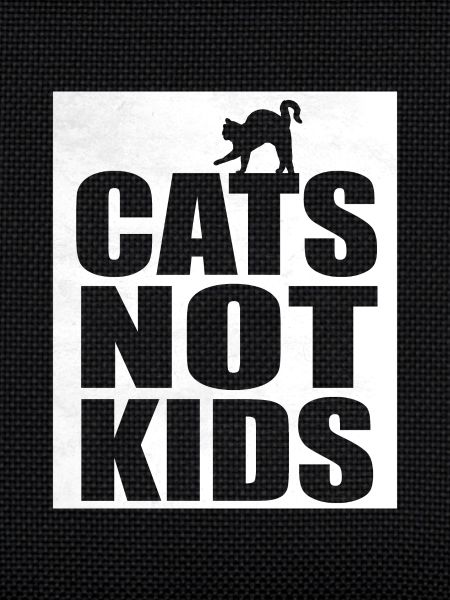 Chats de chats