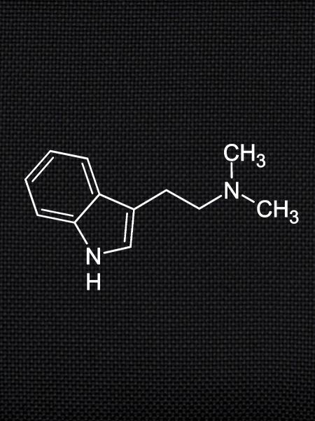 Dmt