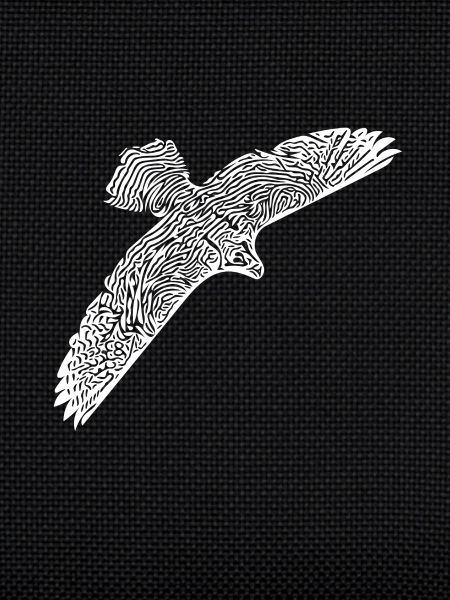 Falcon