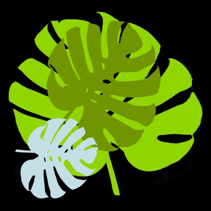 Feuillage Tropical Vert Nature Sauvage