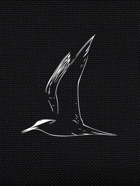 gull