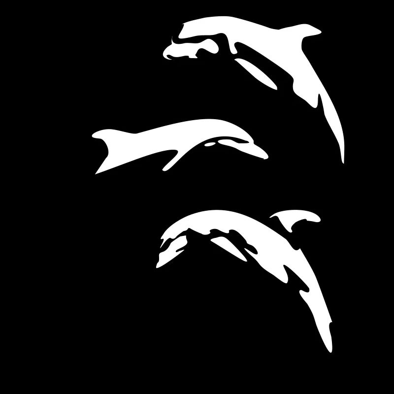 Delfin, Delfine - Dolphin