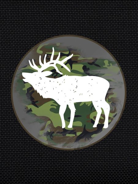 Hunter hunting elk