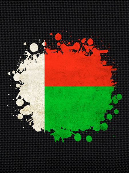 Madagascar flags blob