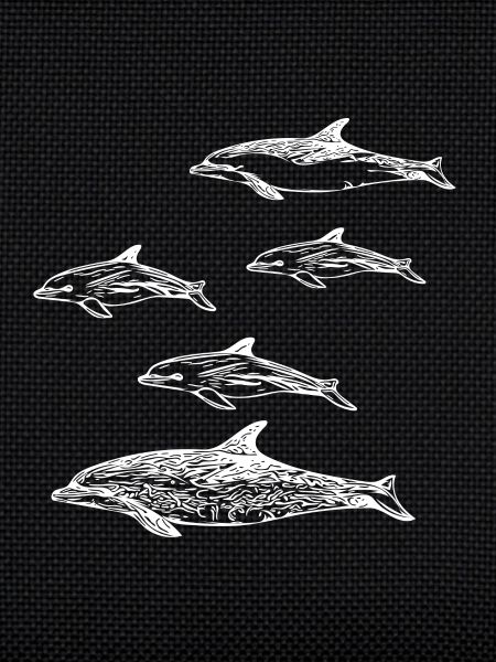 Dolphin School
