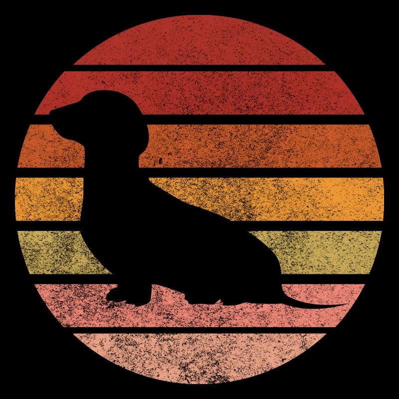 Teckel Teckel Ami Teckel Amour Chien Personne