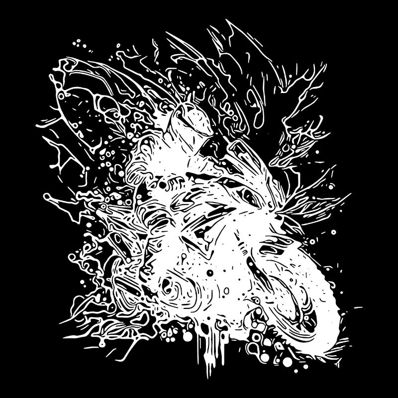 Terrain Splash Wave Motorcycling Motorcycle Style