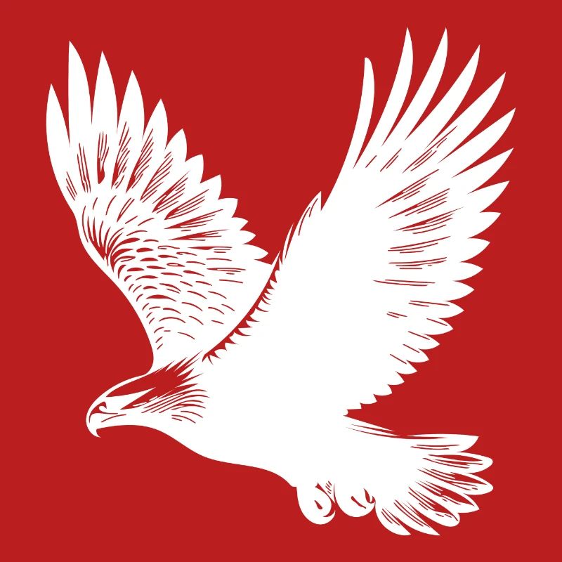 Elegant eagle on huge wings