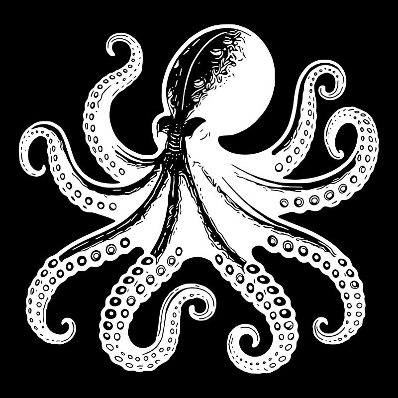 Large Squid Octopus with Eight Arms