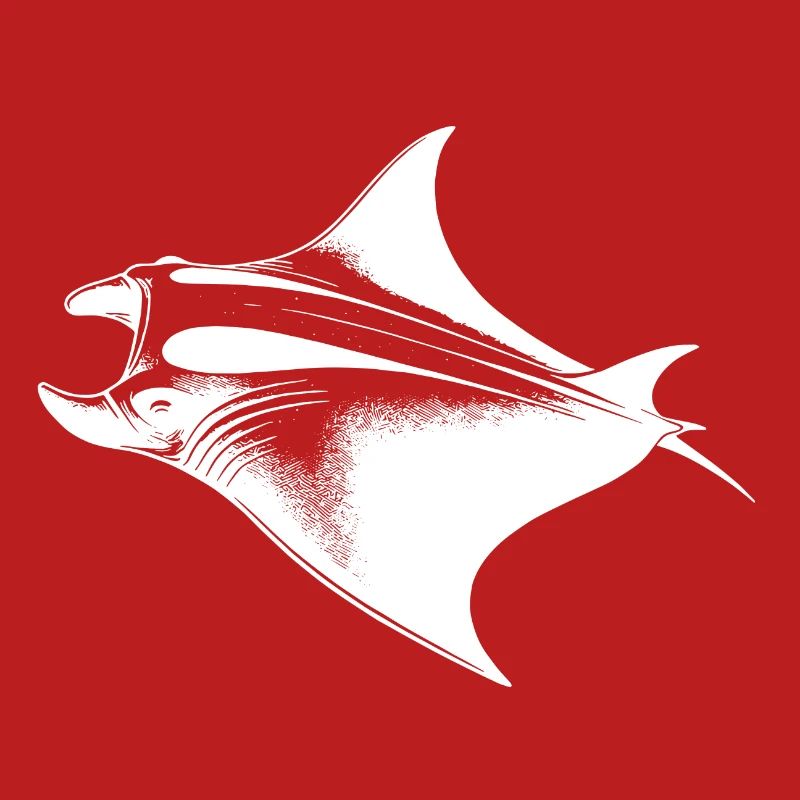 Huge elegant manta ray in underwater flight