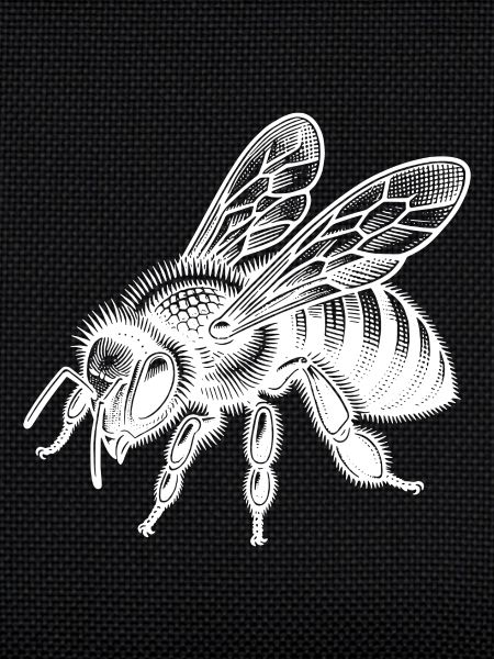 Douce petite abeille