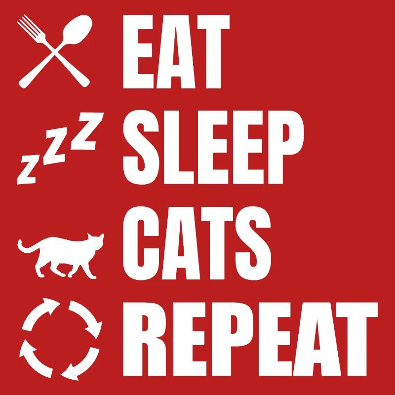 Manger dormir chats répéter