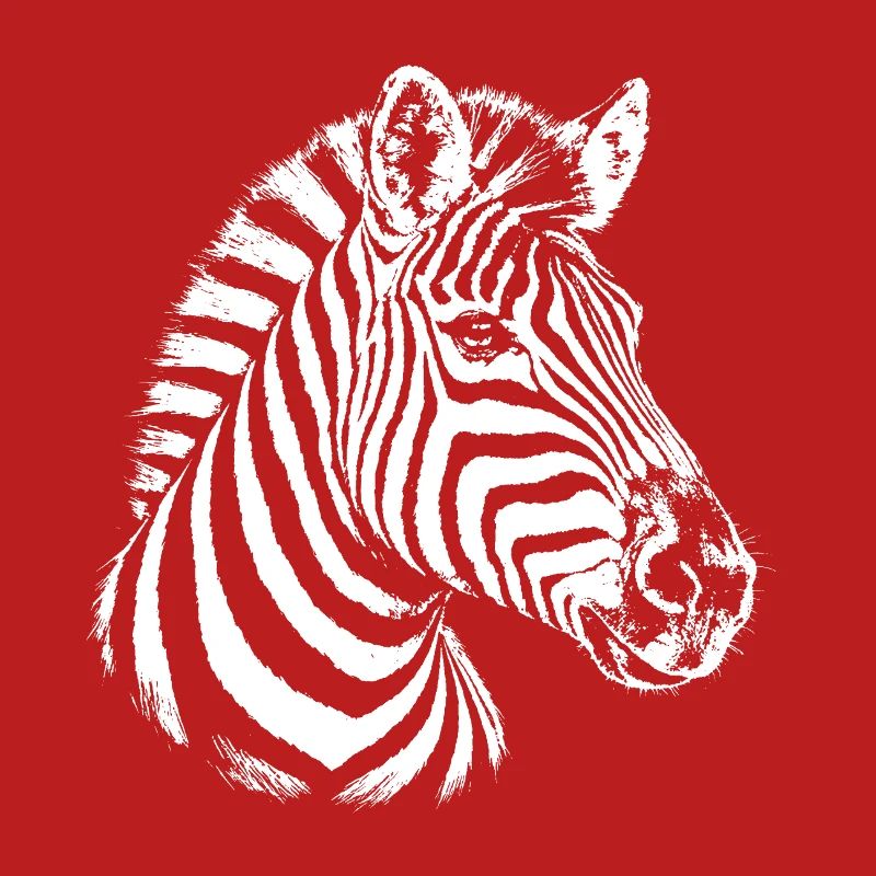 Zebra – schwarz-weiße Grafik mit einem Zebra