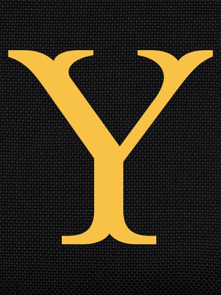 Y