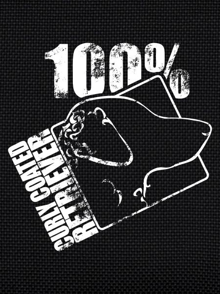 BOUCLES RETRIEVER 100 ENDUITS