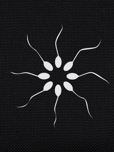 sperm