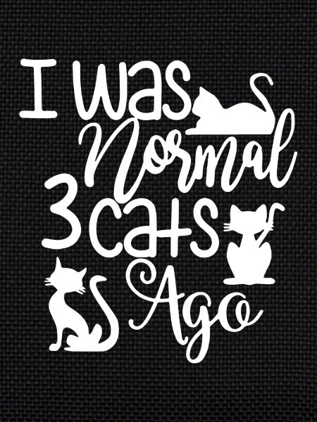 Proud Cat Owner