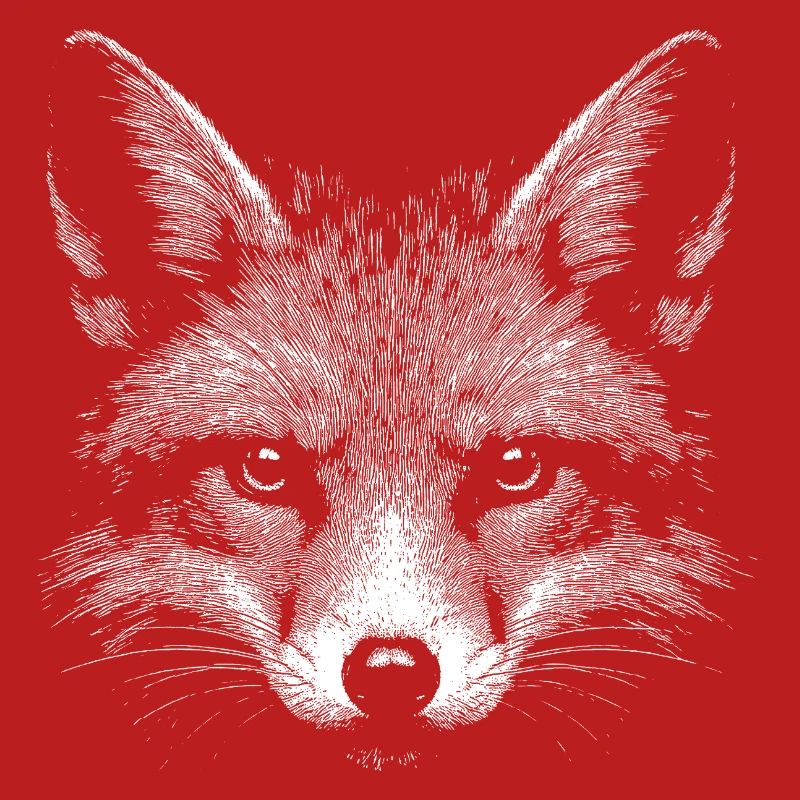 Red fox