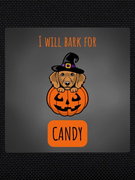 HALLOWEEN - Dog