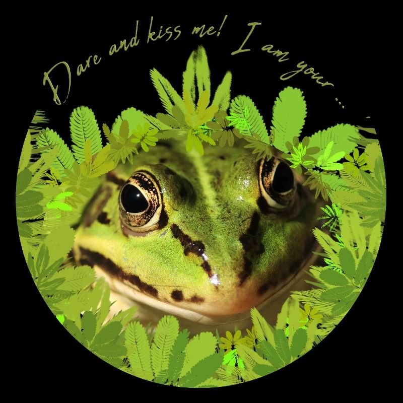 Frosch küss mich Prinz