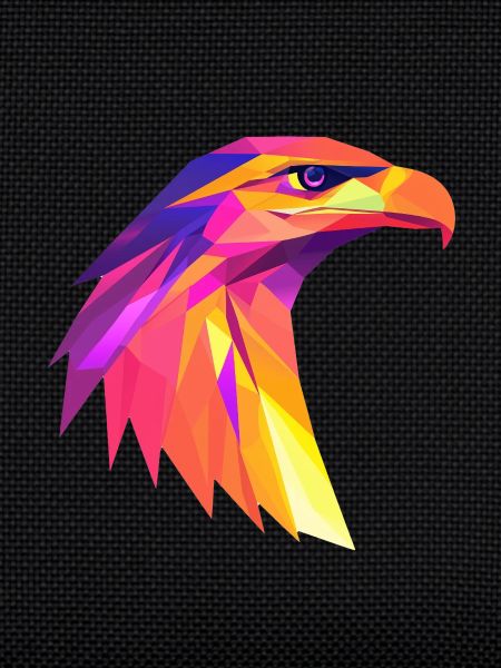AdlerKopf Low Poly Logo Design