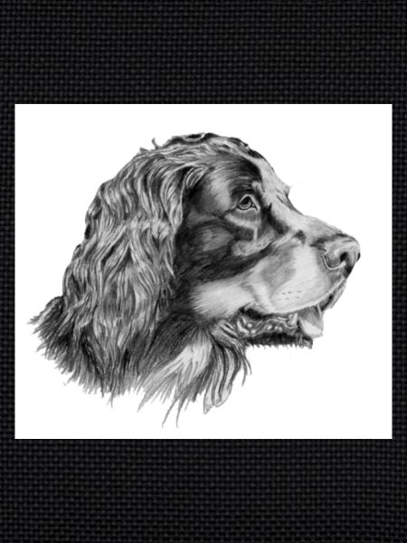 Gordon setter sticker