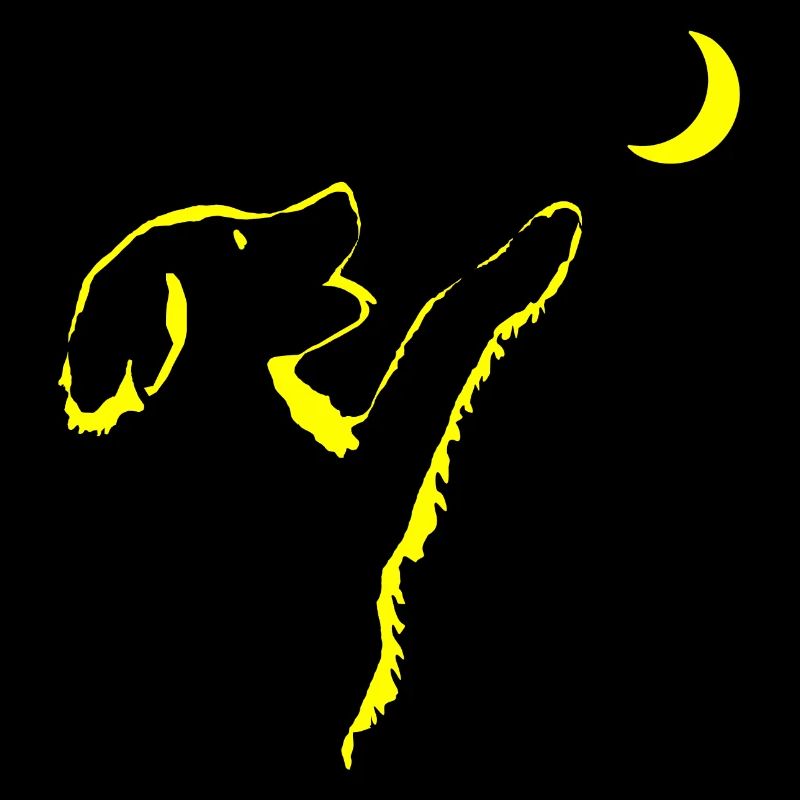 Chien regarde la lune