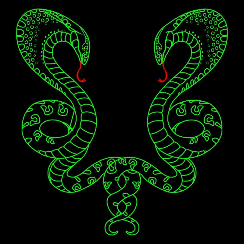 Zwei grüne Schlangen