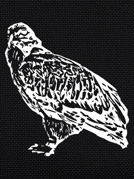 Faucons Oiseaux Oiseaux