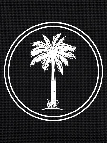 Palm Tree Icon