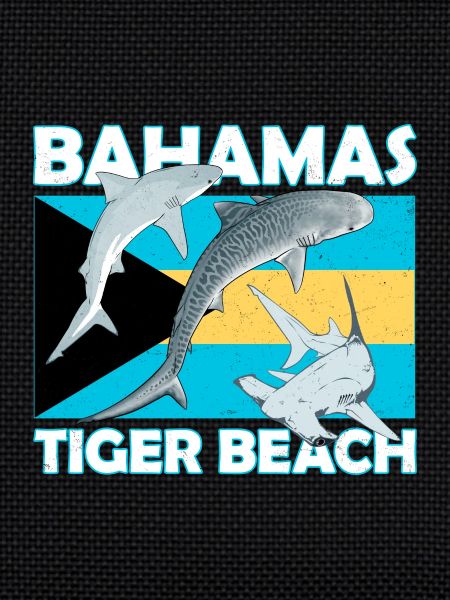 Tiger Beach Bahamas