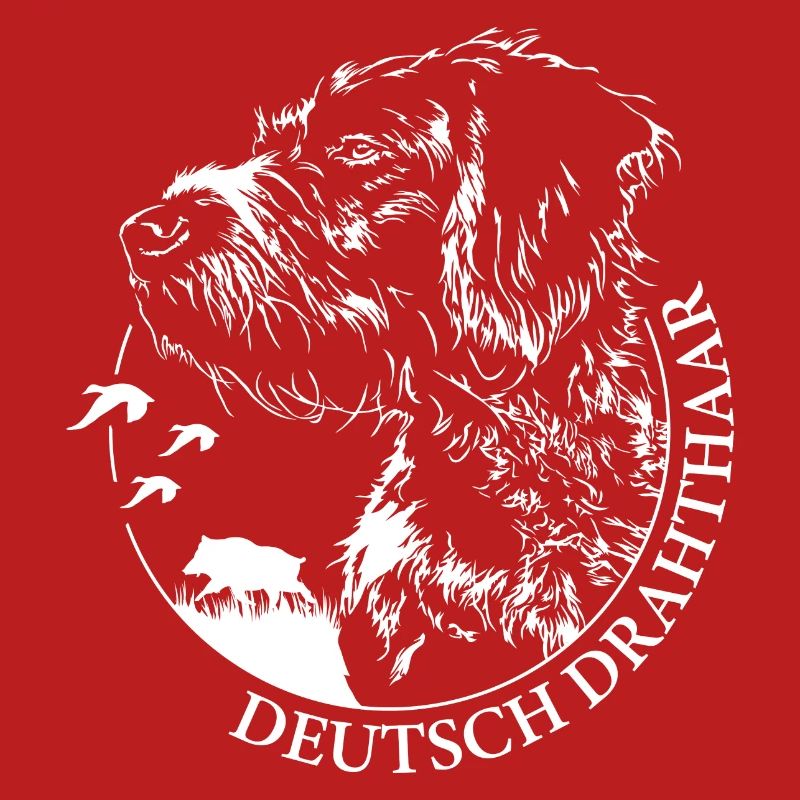 DEUTSCH DRAHTHAAR Wilsigns Jagdhund Jagdhunde