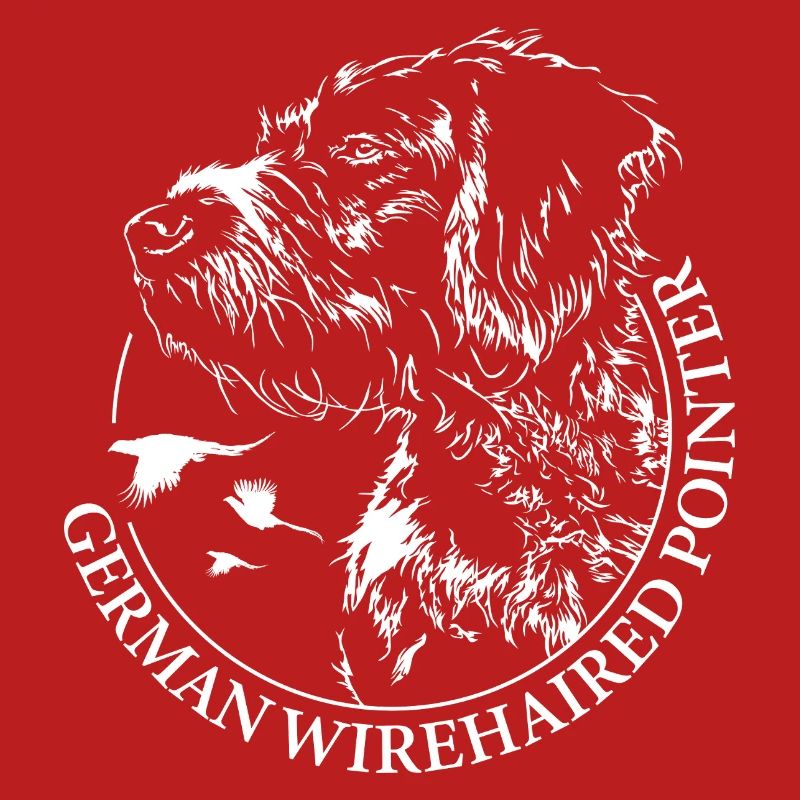 German Wirehaired Pointer Jagdhunde Wilsigns