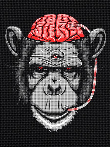 Brain Chimp 2