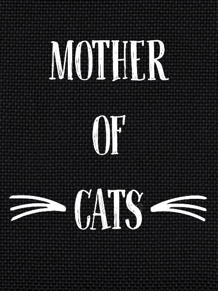 Chat-dame Chat
