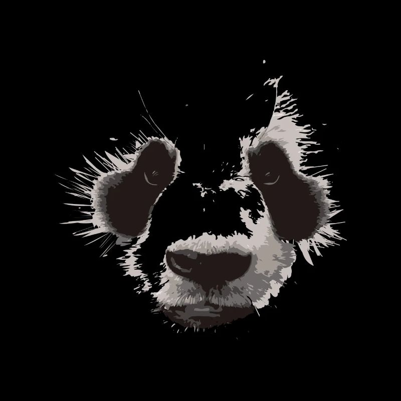Panda Gesicht