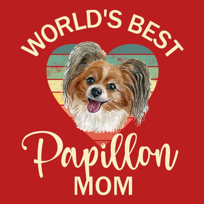 Dog Papillon Dwarf Spaniel