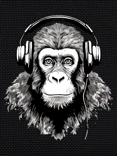 Chita le singe audiophile