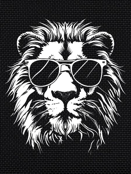 Lunettes de soleil Lion