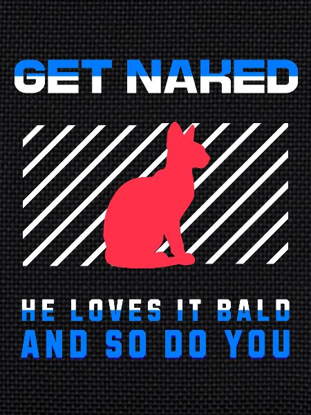 Get Naked Sphynx Cat 