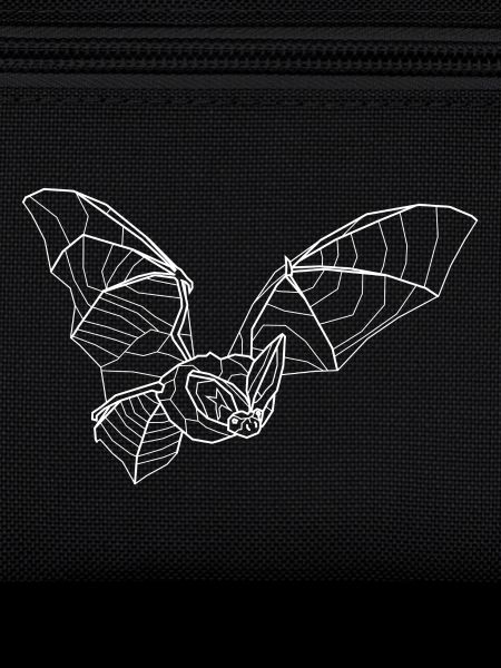 Long-eared bat white