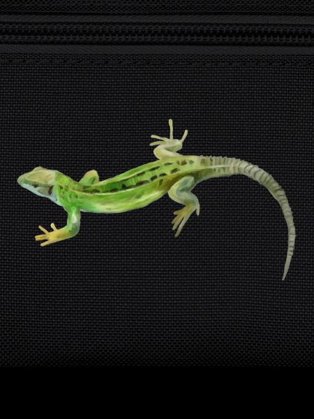 Motif vert gecko
