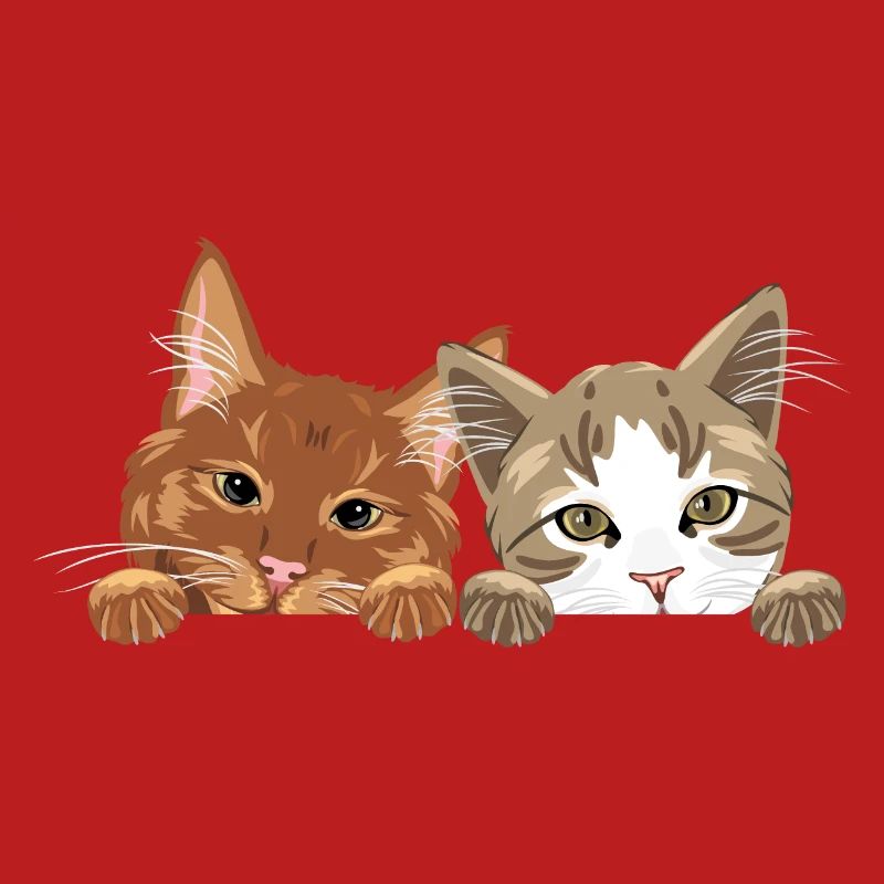 Jeter un coup d’œil mignon deux chats