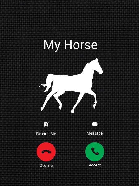 appelle mon cheval