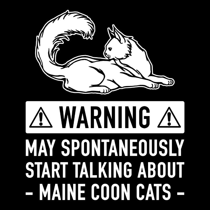 Maine Coon Cat cadeau