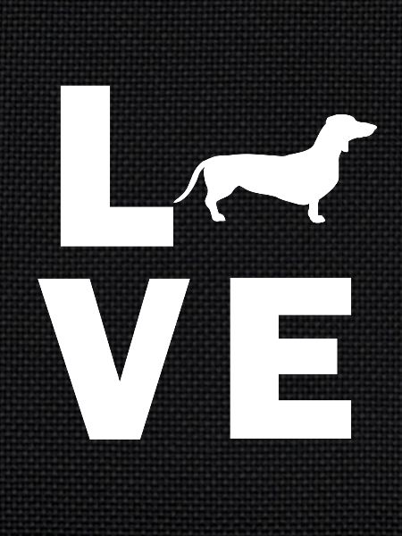 L'amour teckel