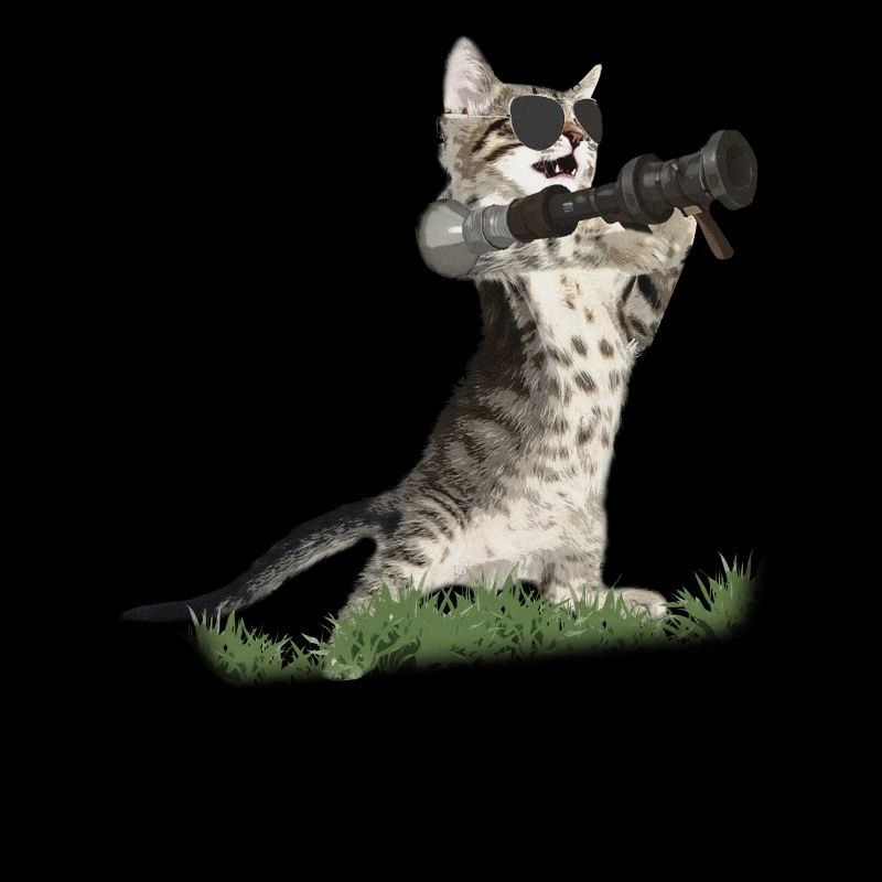 Bazooka Cat - Coole Katze mit Pilotenbrille