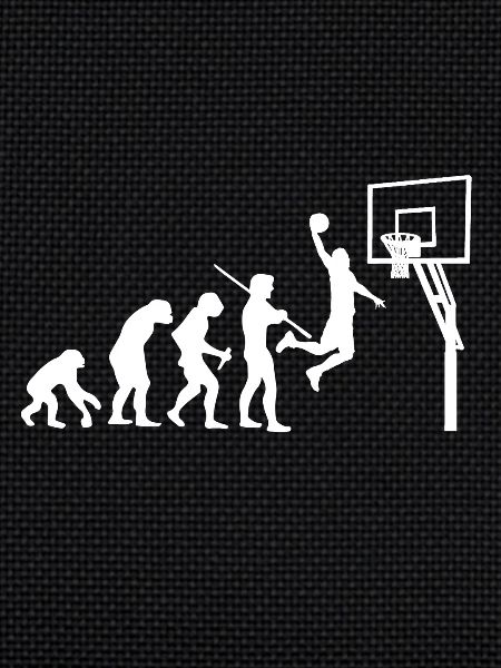 Evolution Basketball T-Shirt