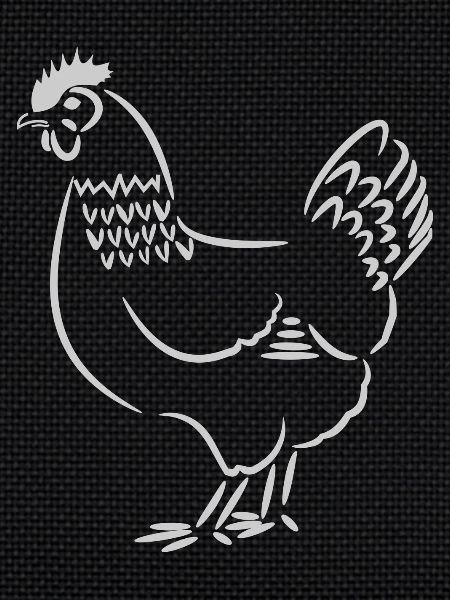 Chicken / hen